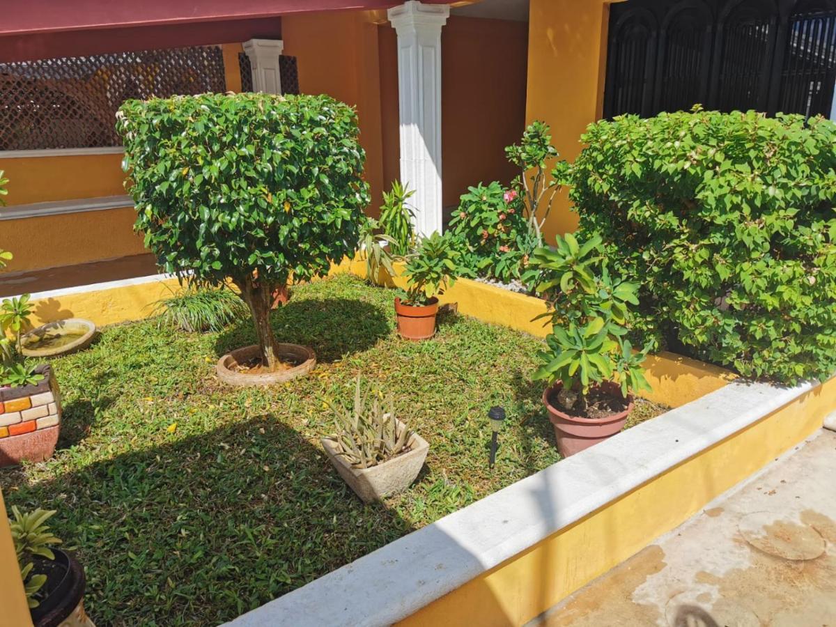 Casa Balfre Villa Mérida Exteriör bild
